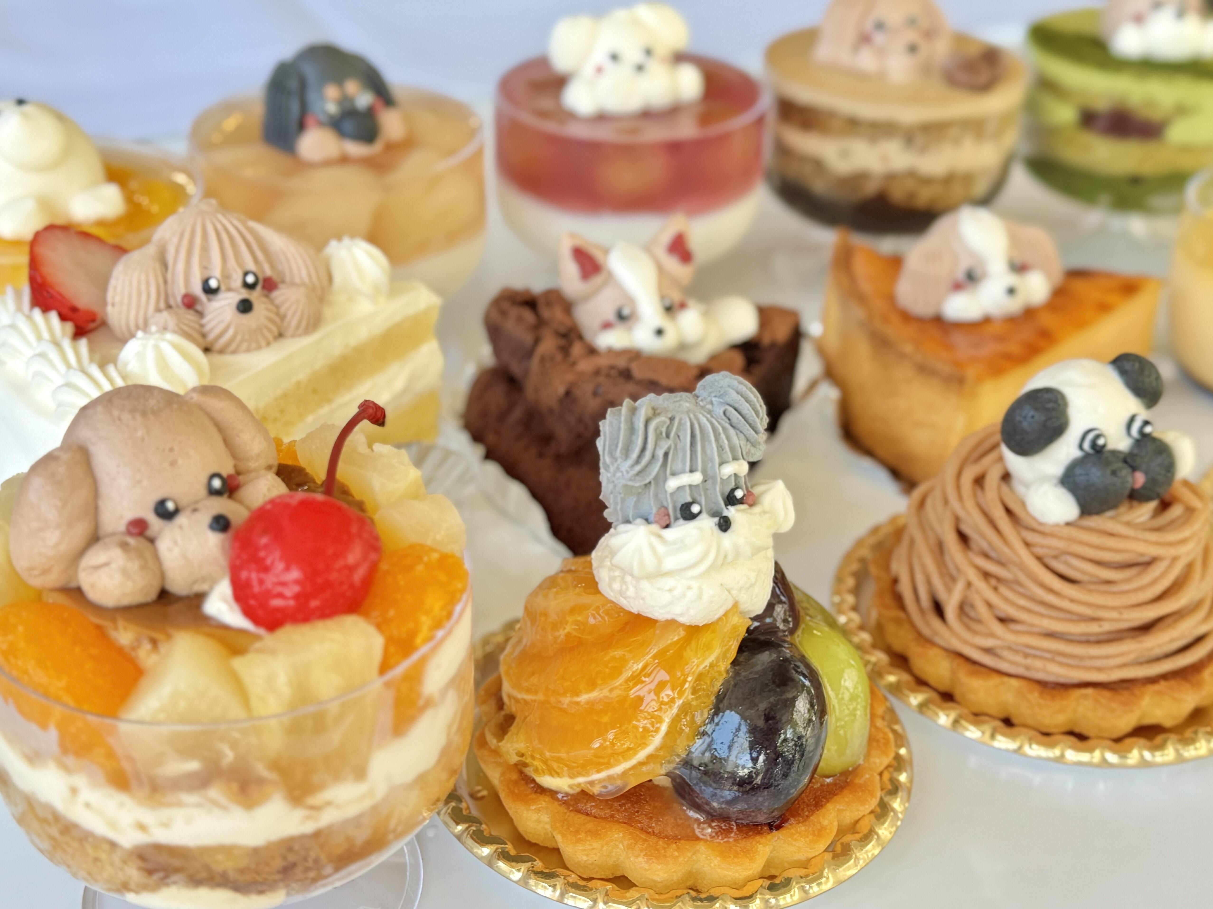 ワンスイーツカフェの様々なケーキ