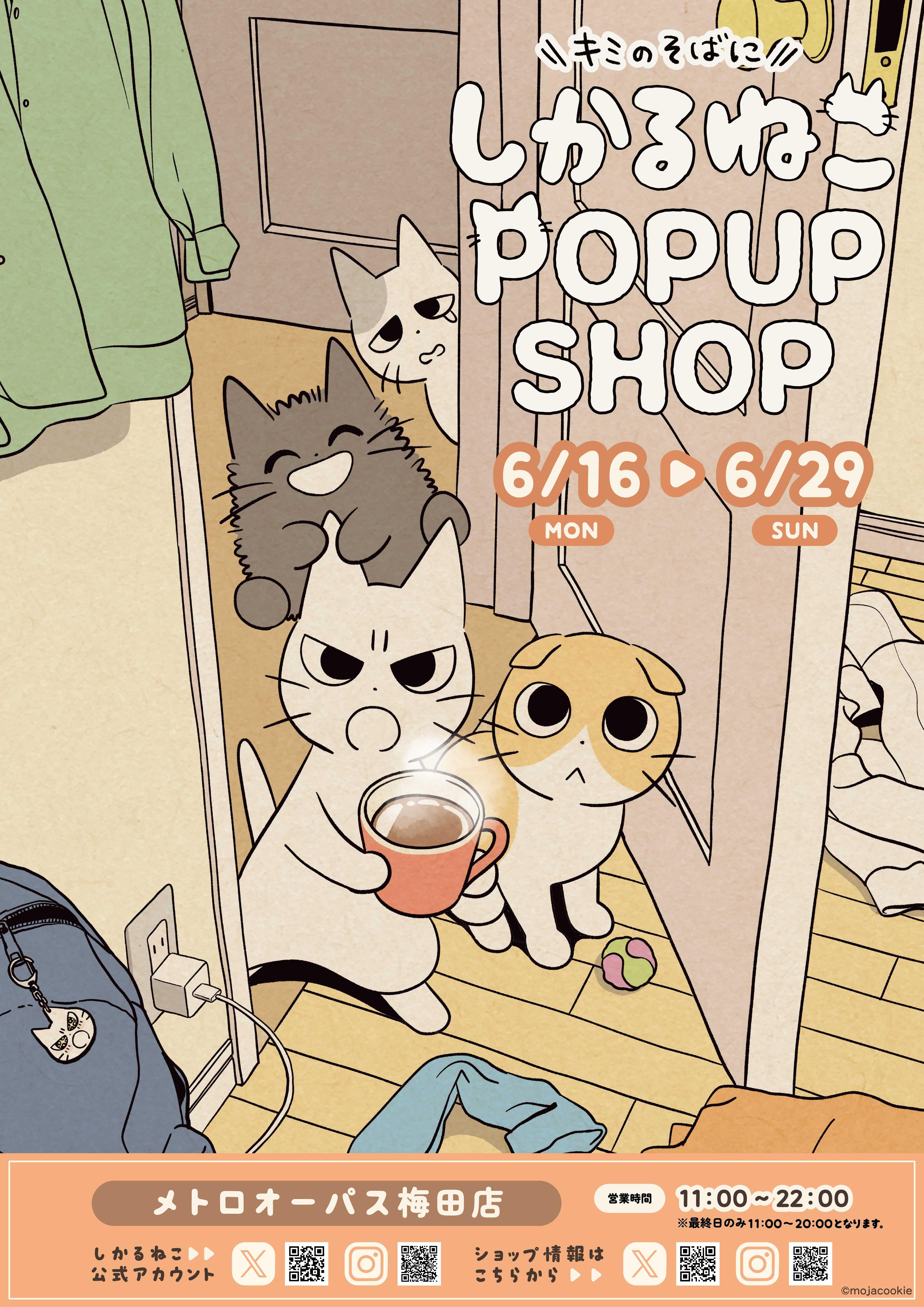 しかるねこポップアップストア